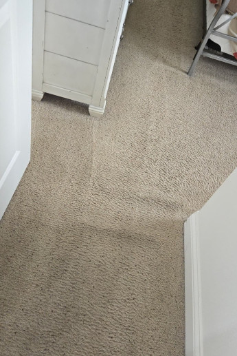 contact about carpet cleaning in arlington contact about carpet cleaning in arlington